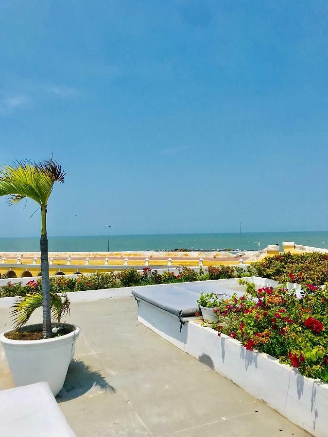 Penthouse Caribbean View And Private Pool, Apartment *