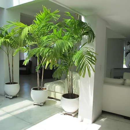 Penthouse Caribbean View And Private Pool, Apartment Cartagena