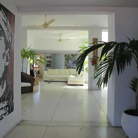 Penthouse Caribbean View And Private Pool, Apartment